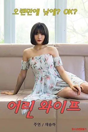 小妻子 海报
